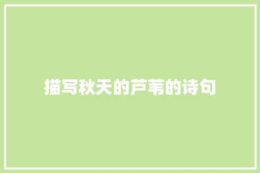 描写秋天的芦苇的诗句