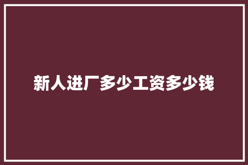 新人进厂多少工资多少钱 工作总结