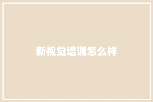 新视觉培训怎么样