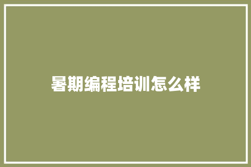 暑期编程培训怎么样