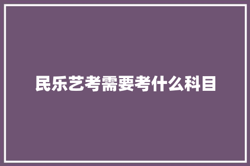 民乐艺考需要考什么科目