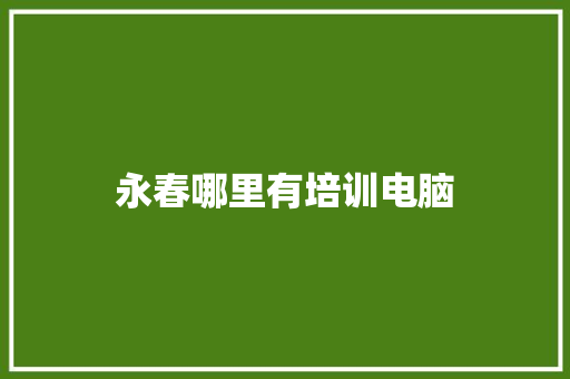 永春哪里有培训电脑 特写稿