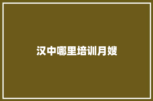 汉中哪里培训月嫂 工作报告