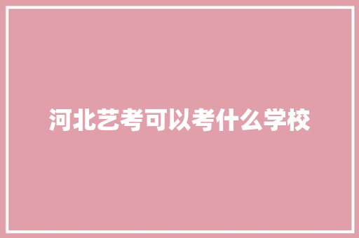 河北艺考可以考什么学校