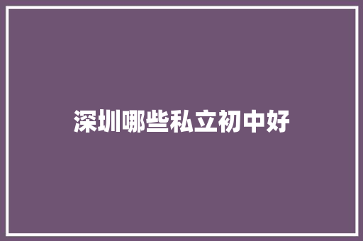 深圳哪些私立初中好