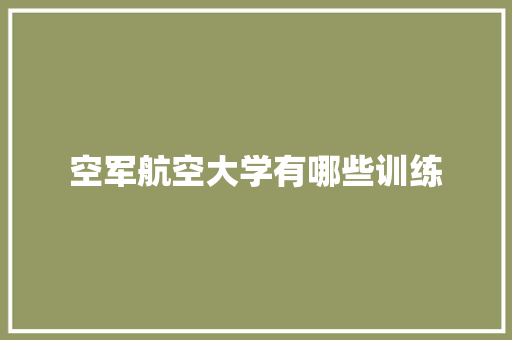 空军航空大学有哪些训练 工作报告