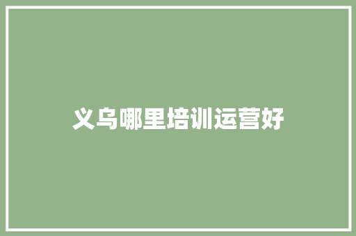义乌哪里培训运营好 商业文稿