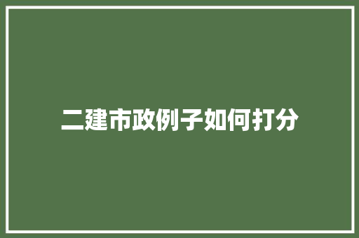 二建市政例子如何打分