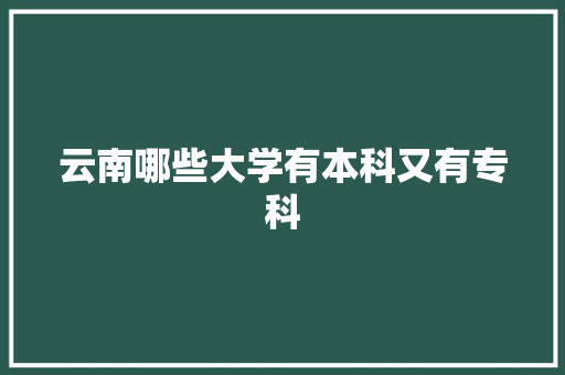 云南哪些大学有本科又有专科