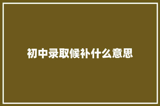 初中录取候补什么意思