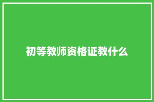 初等教师资格证教什么