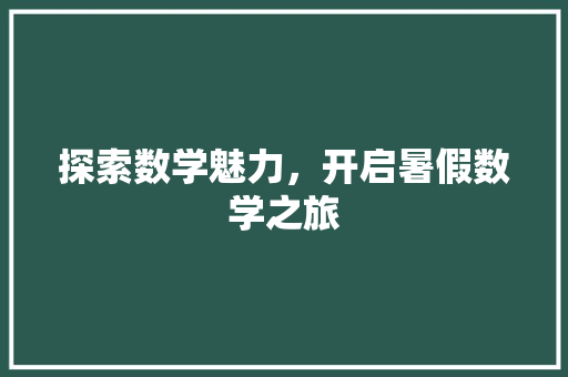 探索数学魅力，开启暑假数学之旅