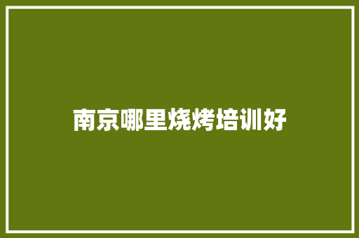 南京哪里烧烤培训好