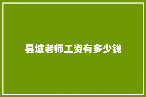 县城老师工资有多少钱 特写稿