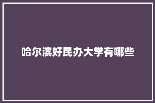 哈尔滨好民办大学有哪些