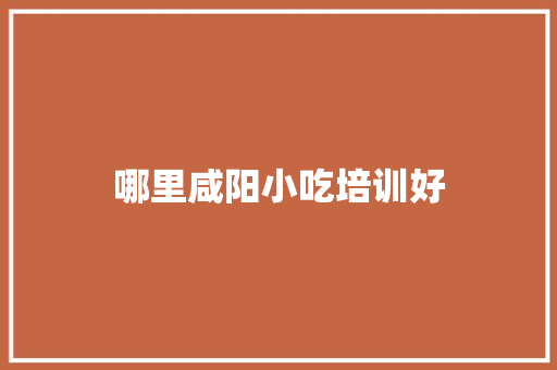 哪里咸阳小吃培训好