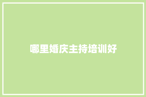 哪里婚庆主持培训好
