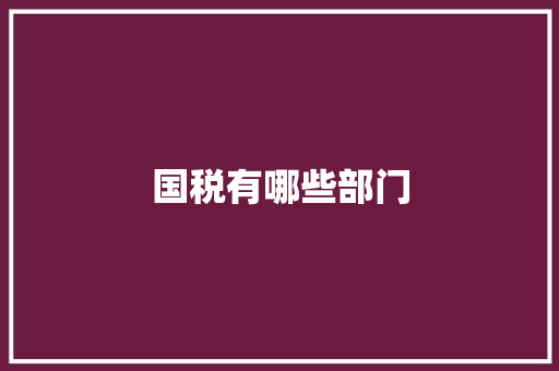 国税有哪些部门