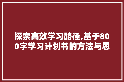 探索高效学习路径,基于800字学习计划书的方法与思考