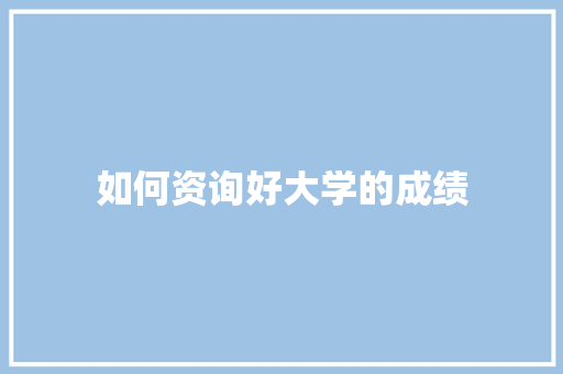 如何资询好大学的成绩 工作总结