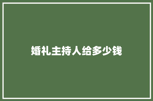 婚礼主持人给多少钱