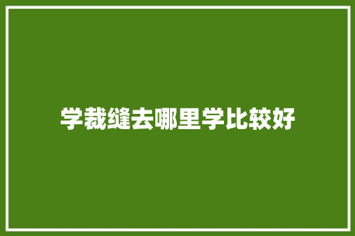 学裁缝去哪里学比较好