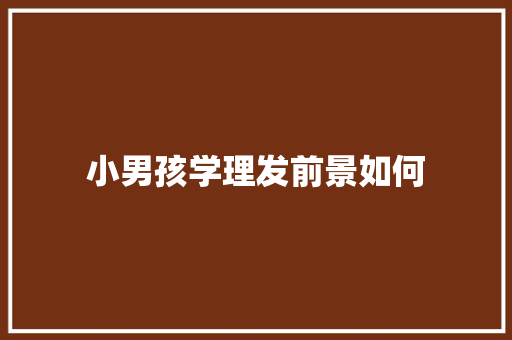 小男孩学理发前景如何 采访稿