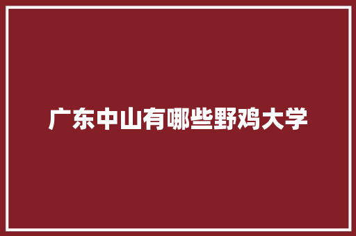 广东中山有哪些野鸡大学 采访稿
