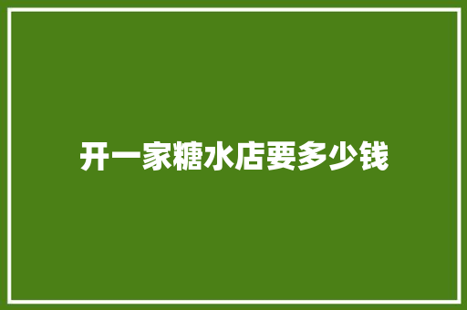 开一家糖水店要多少钱