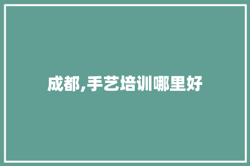 成都,手艺培训哪里好