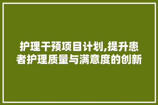 护理干预项目计划,提升患者护理质量与满意度的创新方法