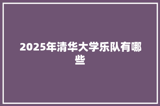 2025年清华大学乐队有哪些