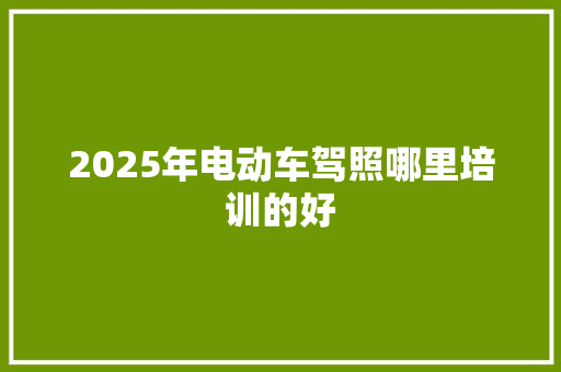 2025年电动车驾照哪里培训的好