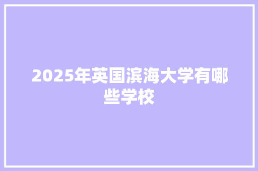 2025年英国滨海大学有哪些学校 工作类