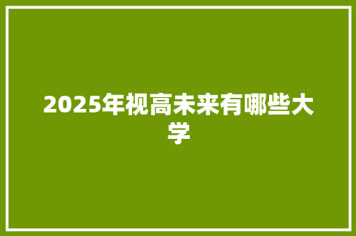 2025年视高未来有哪些大学