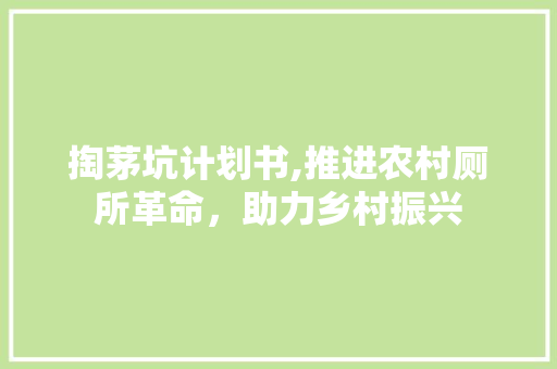 掏茅坑计划书,推进农村厕所革命，助力乡村振兴