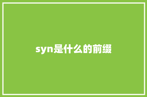 syn是什么的前缀
