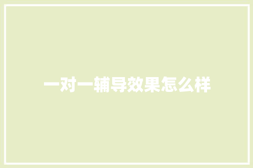 一对一辅导效果怎么样