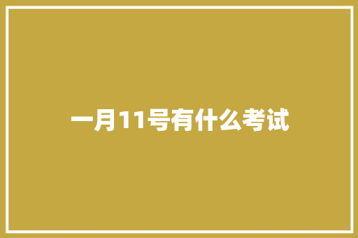 一月11号有什么考试