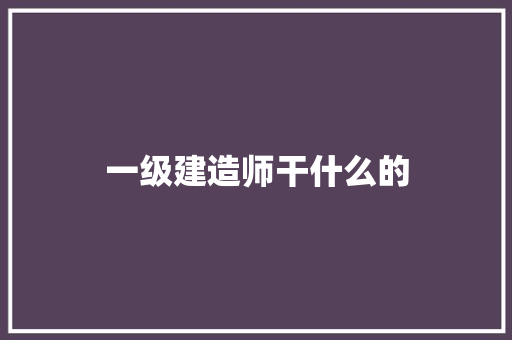 一级建造师干什么的