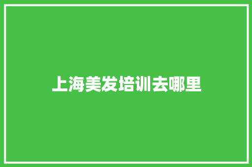 上海美发培训去哪里