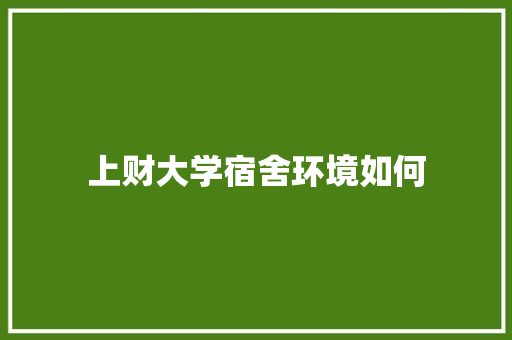 上财大学宿舍环境如何 采访稿