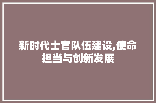 新时代士官队伍建设,使命担当与创新发展