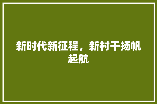 新时代新征程，新村干扬帆起航