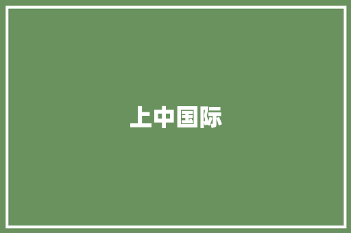 上中国际