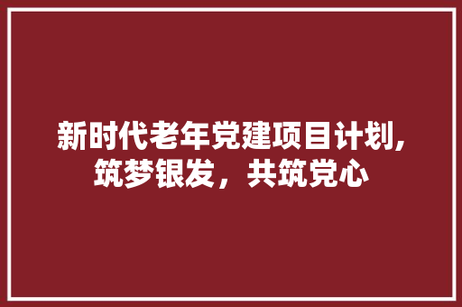 新时代老年党建项目计划,筑梦银发，共筑党心