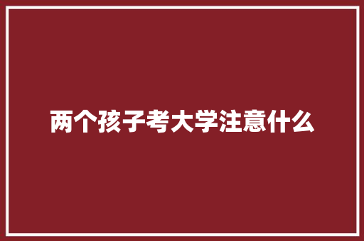 两个孩子考大学注意什么