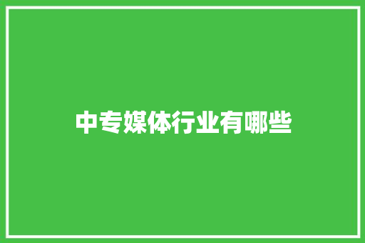 中专媒体行业有哪些