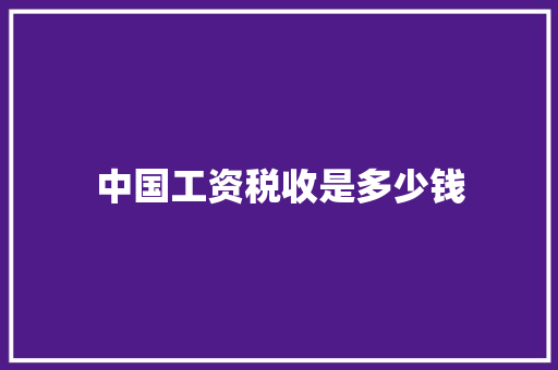 中国工资税收是多少钱 工作总结