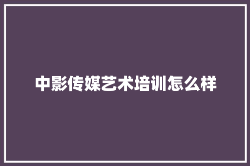 中影传媒艺术培训怎么样